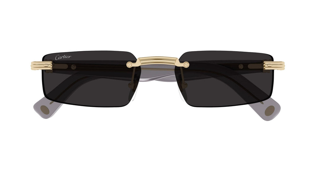 Cartier CT0537S