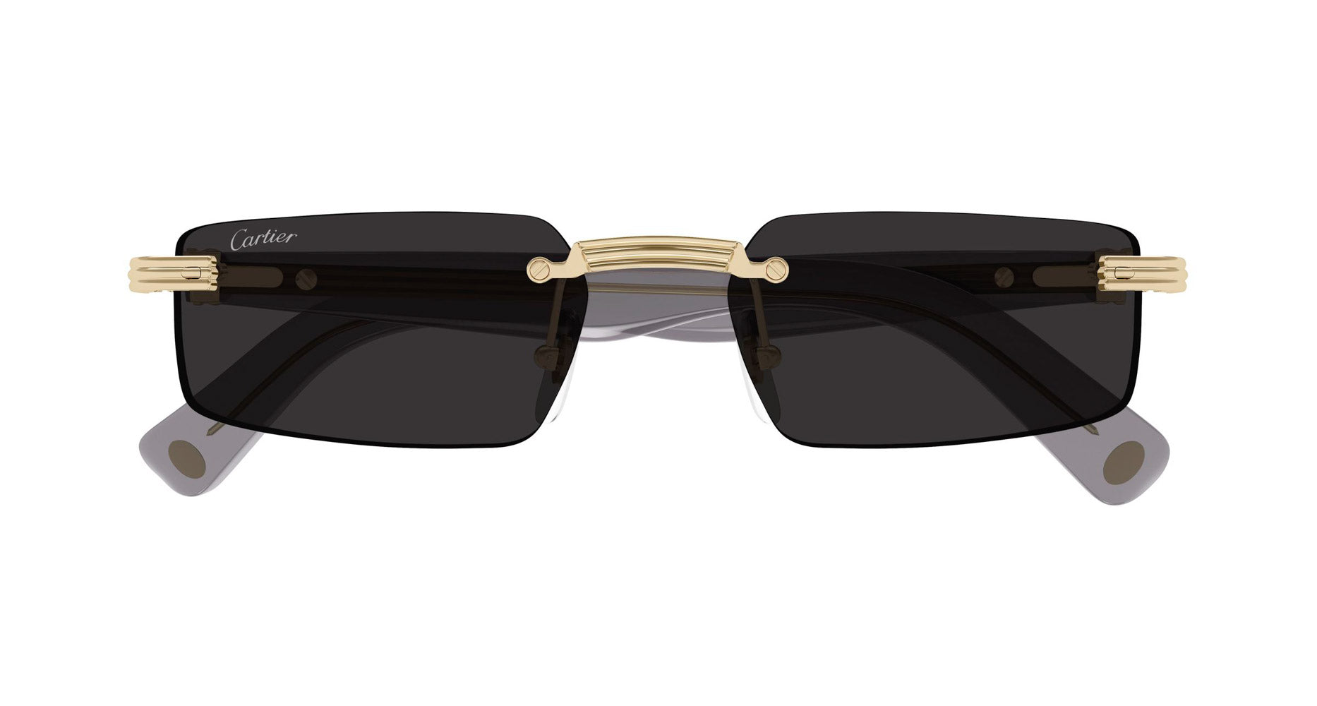 Cartier CT0537S