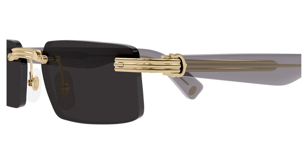 Cartier CT0537S