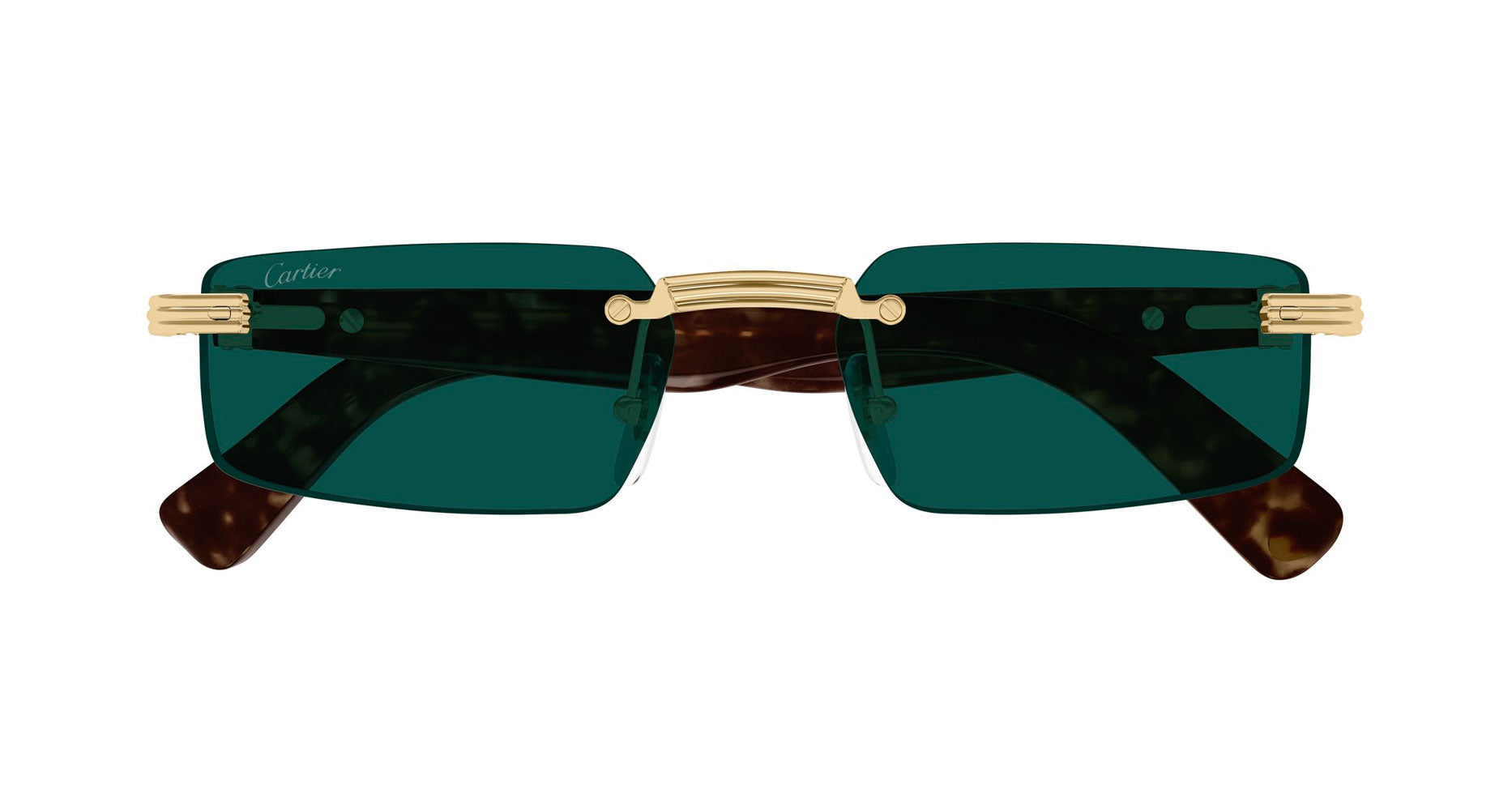 Cartier CT0537S