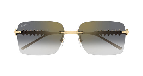 Cartier CT0545S