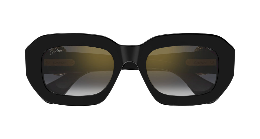 Cartier CT0546S