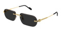 Cartier CT0577S