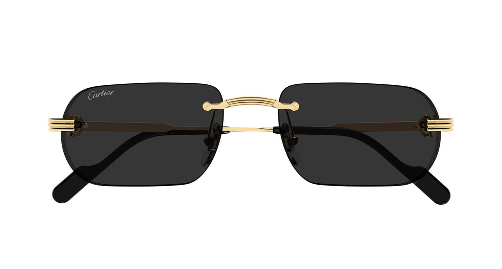 Cartier CT0577S