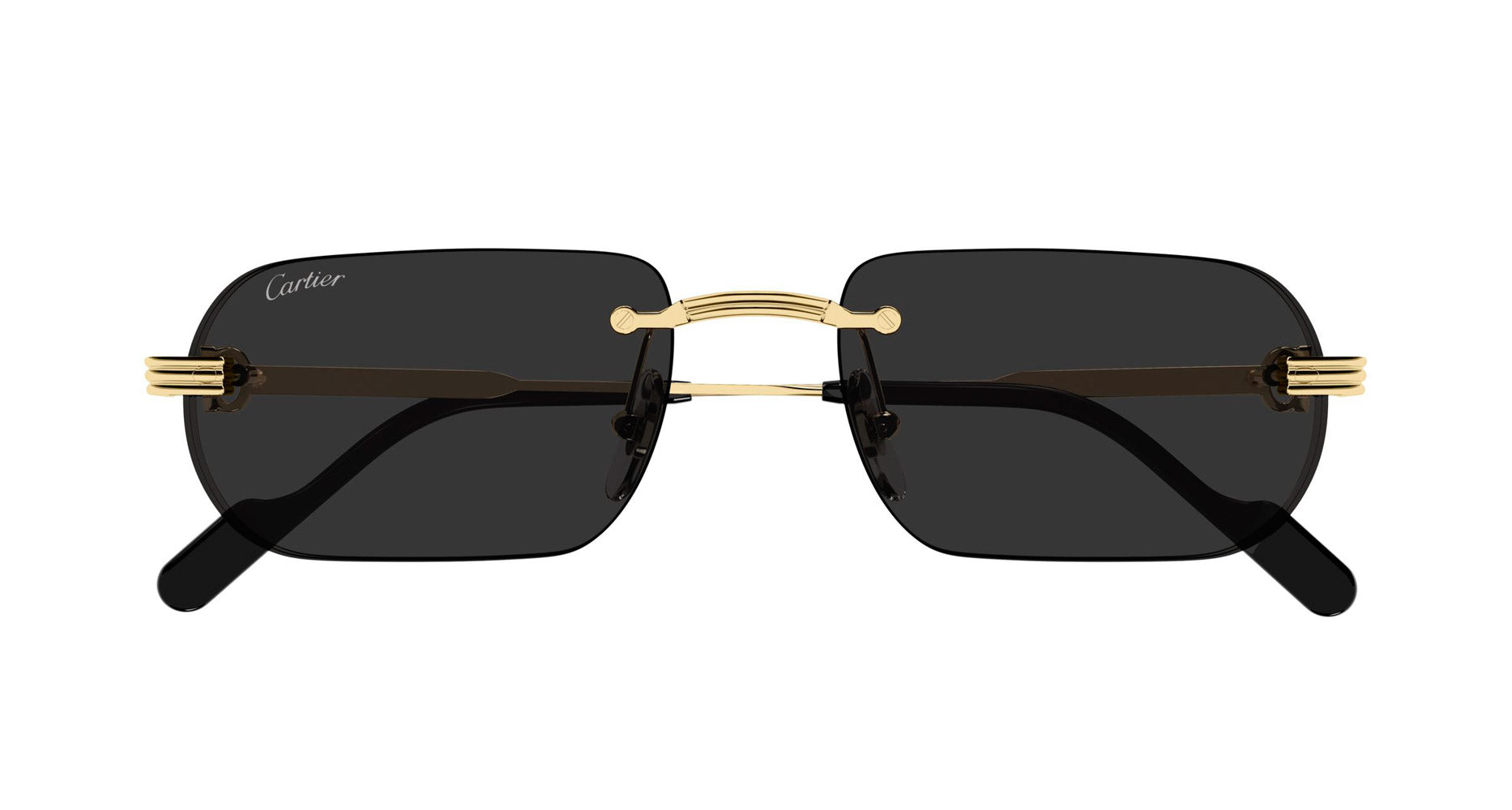 Cartier CT0577S