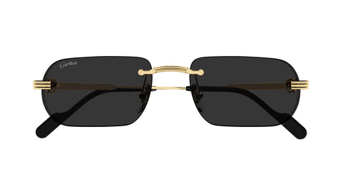 Cartier CT0577S
