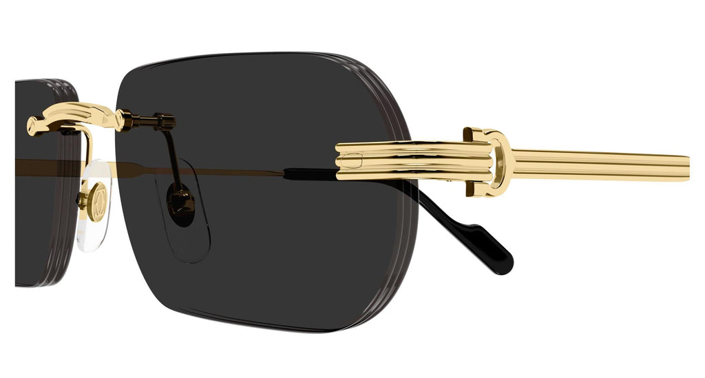 Cartier CT0577S