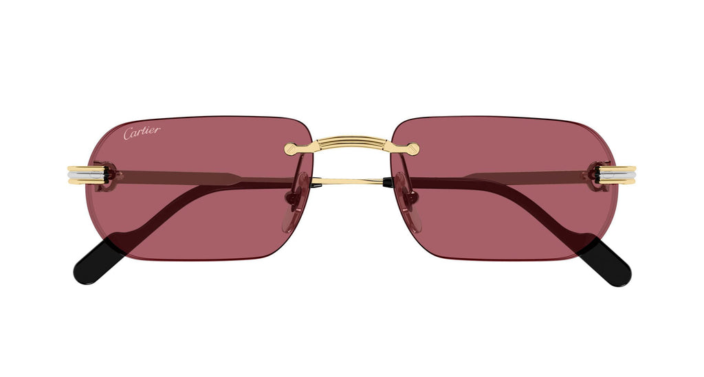 Cartier CT0577S
