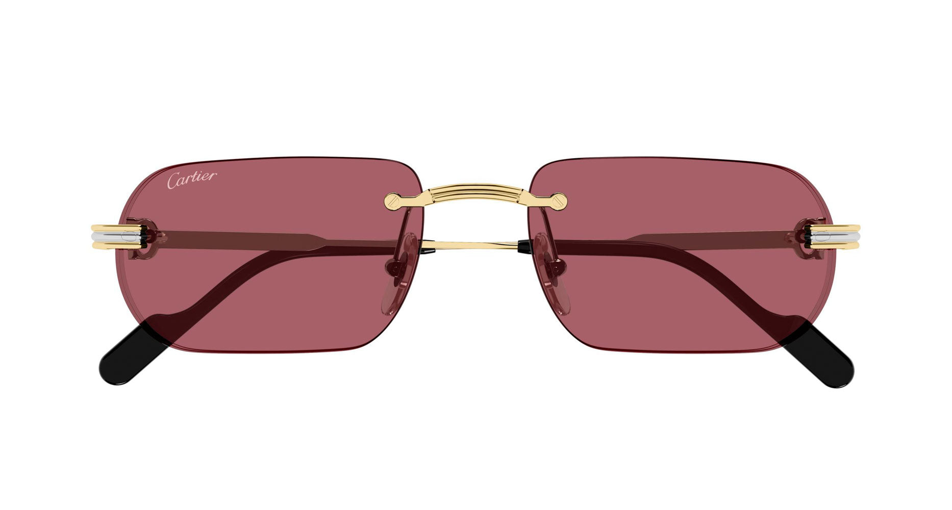 Cartier CT0577S