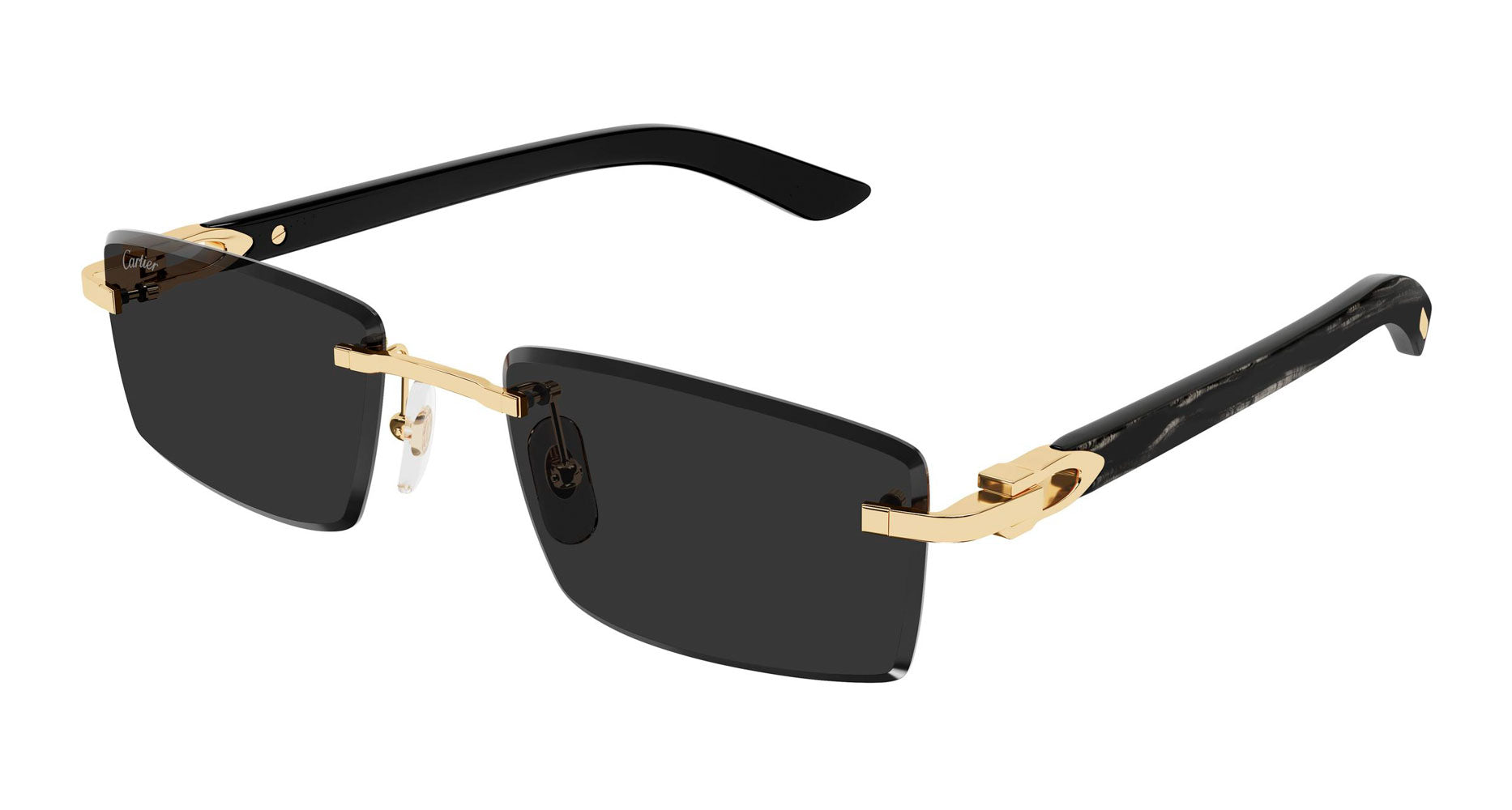 Cartier CT0582S