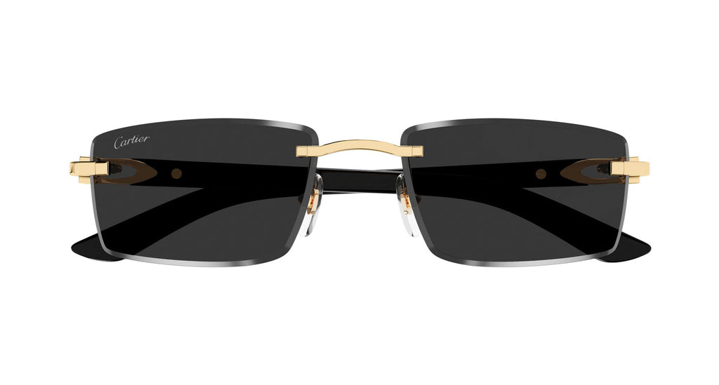 Cartier CT0582S