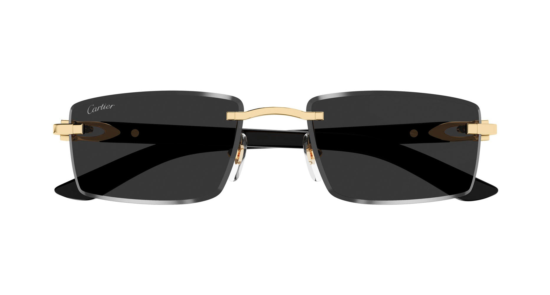 Cartier CT0582S