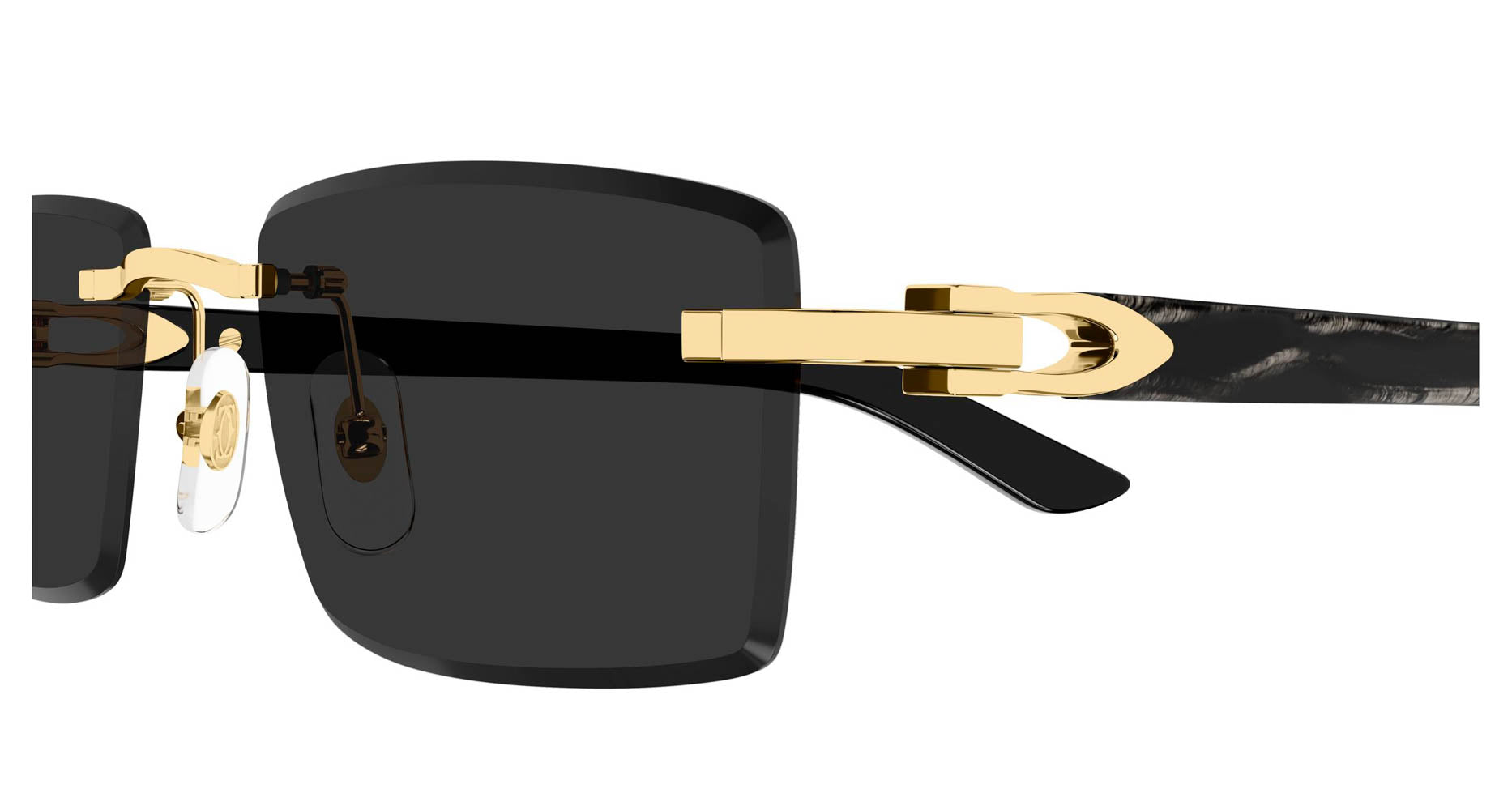 Cartier CT0582S