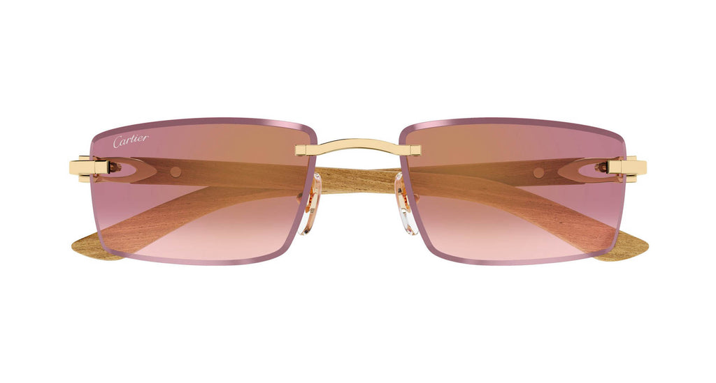 Cartier CT0582S