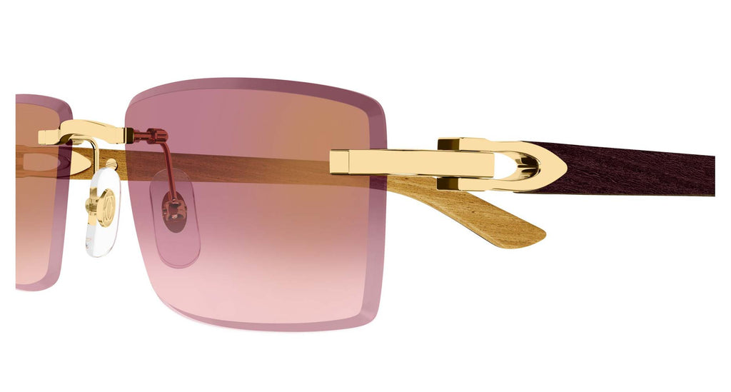 Cartier CT0582S
