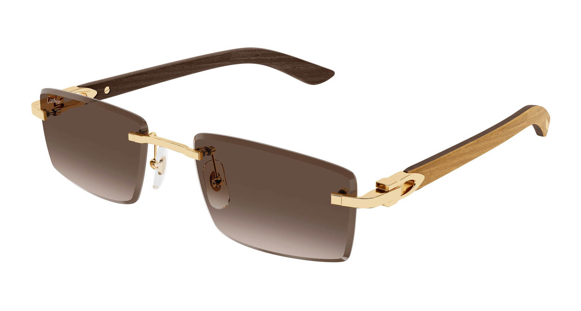 Cartier CT0582S
