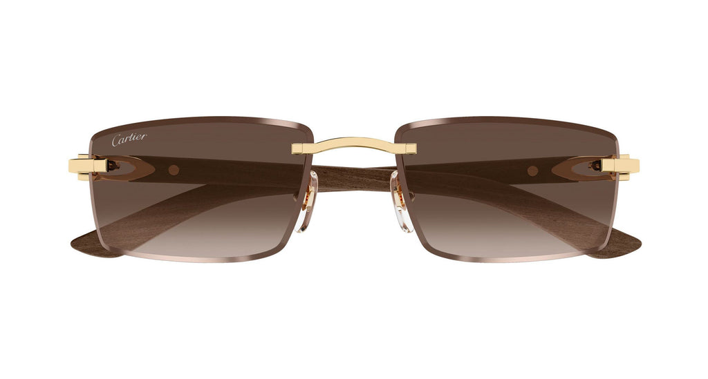 Cartier CT0582S