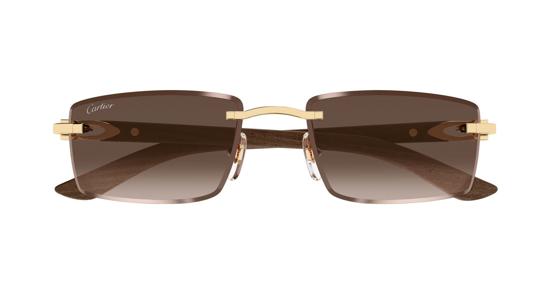 Cartier CT0582S