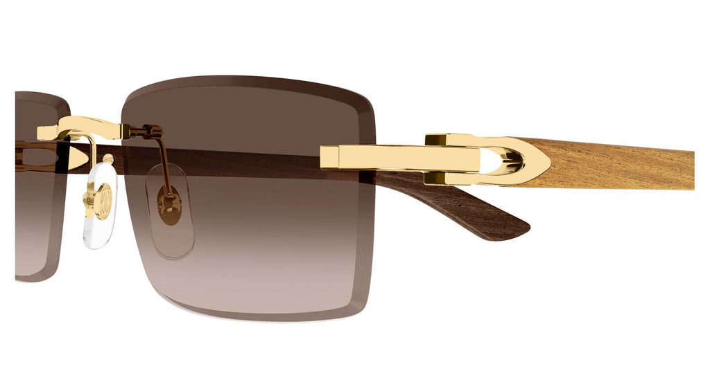 Cartier CT0582S