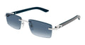 Cartier CT0582S