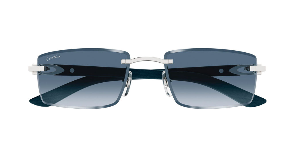 Cartier CT0582S