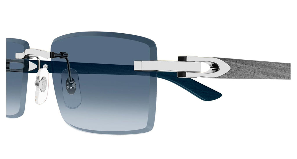 Cartier CT0582S