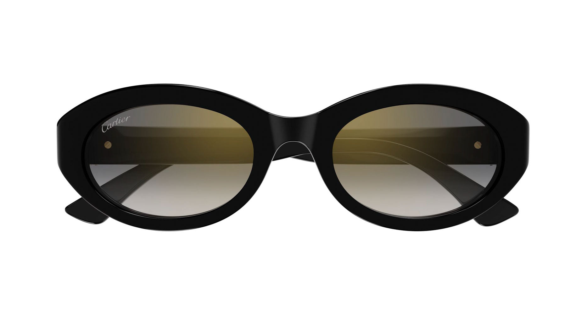 Cartier CT0588S