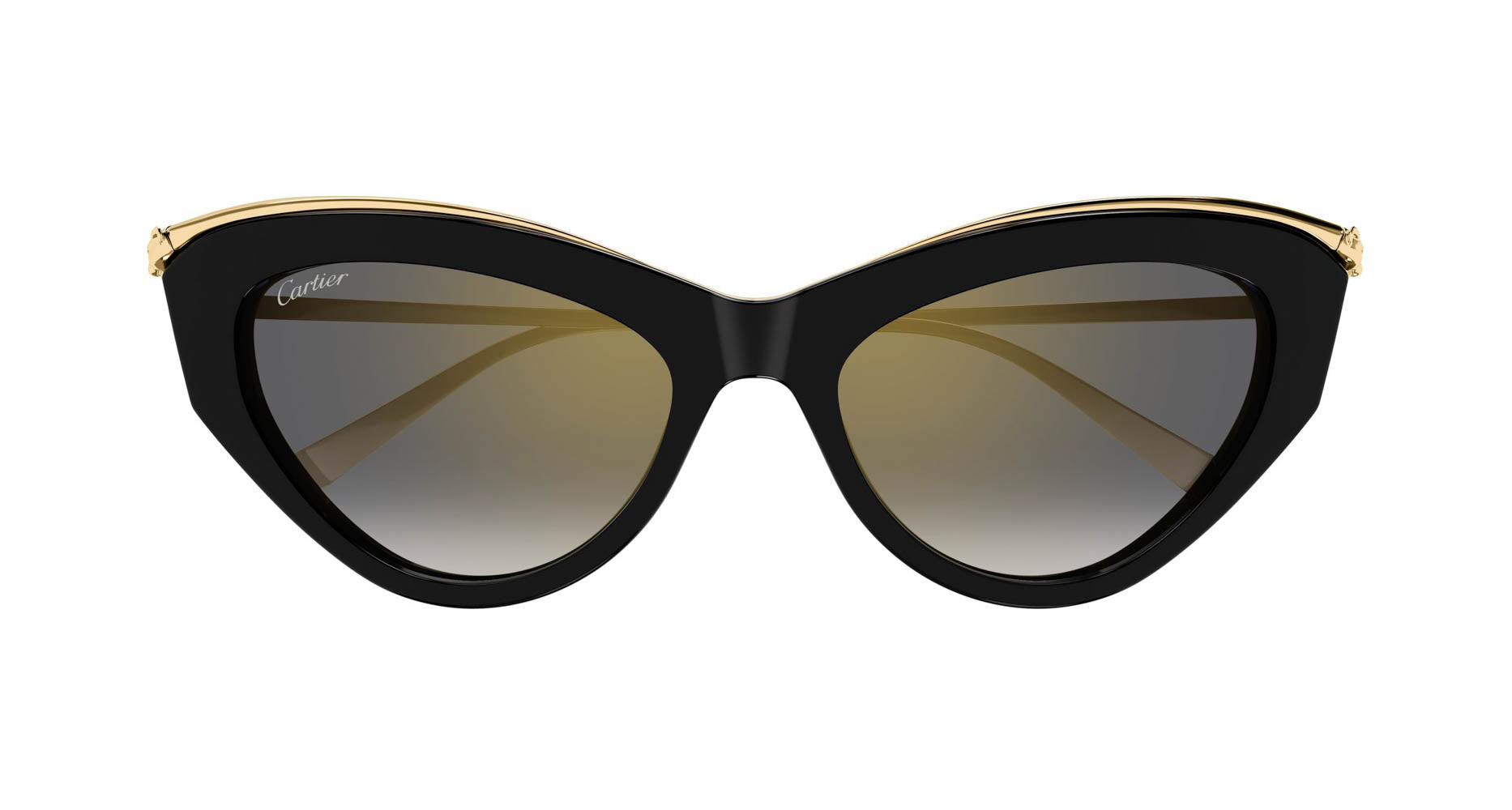 Cartier CT0596S