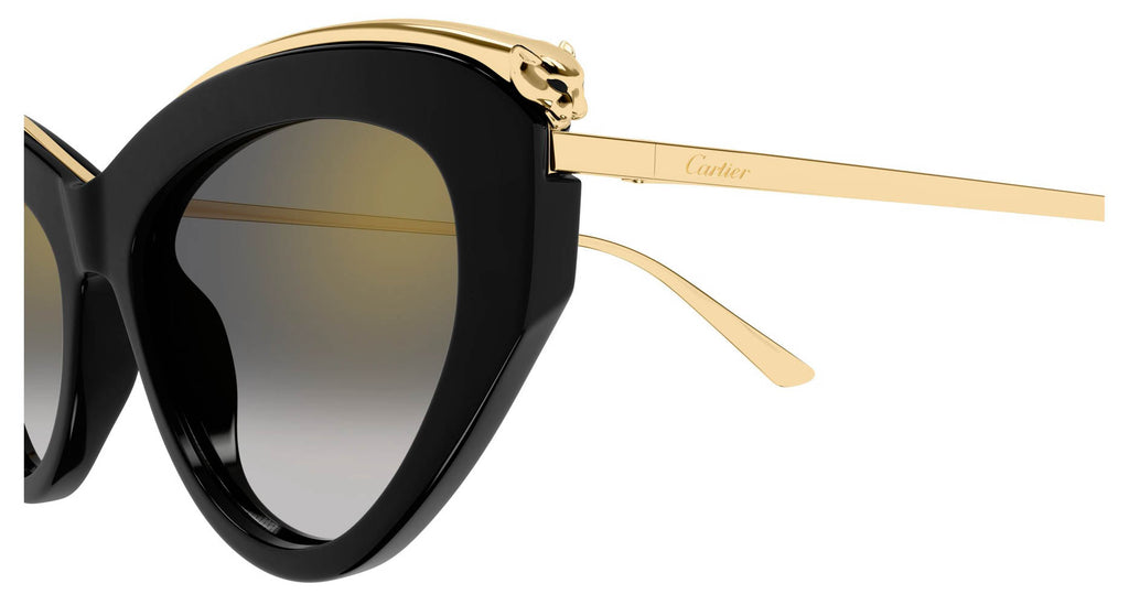 Cartier CT0596S