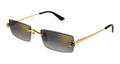Cartier CT0598S