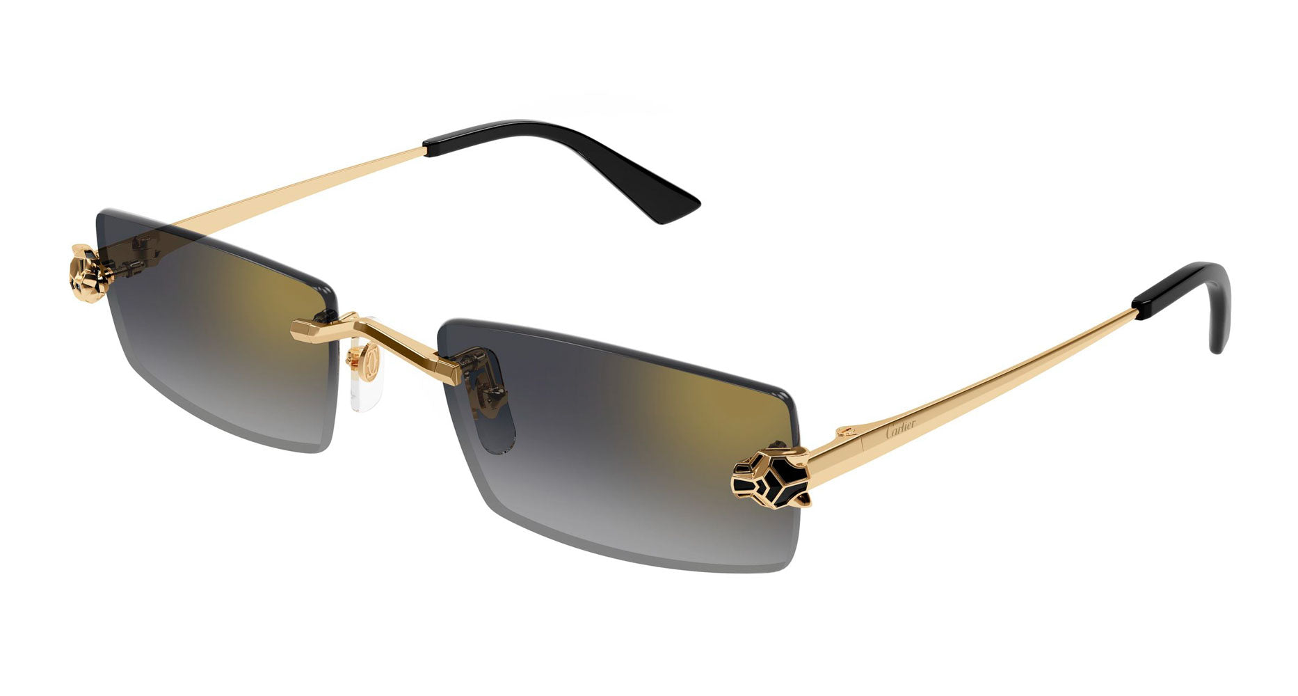 Cartier CT0598S