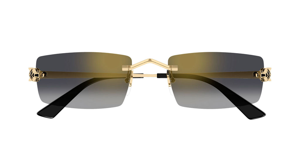 Cartier CT0598S