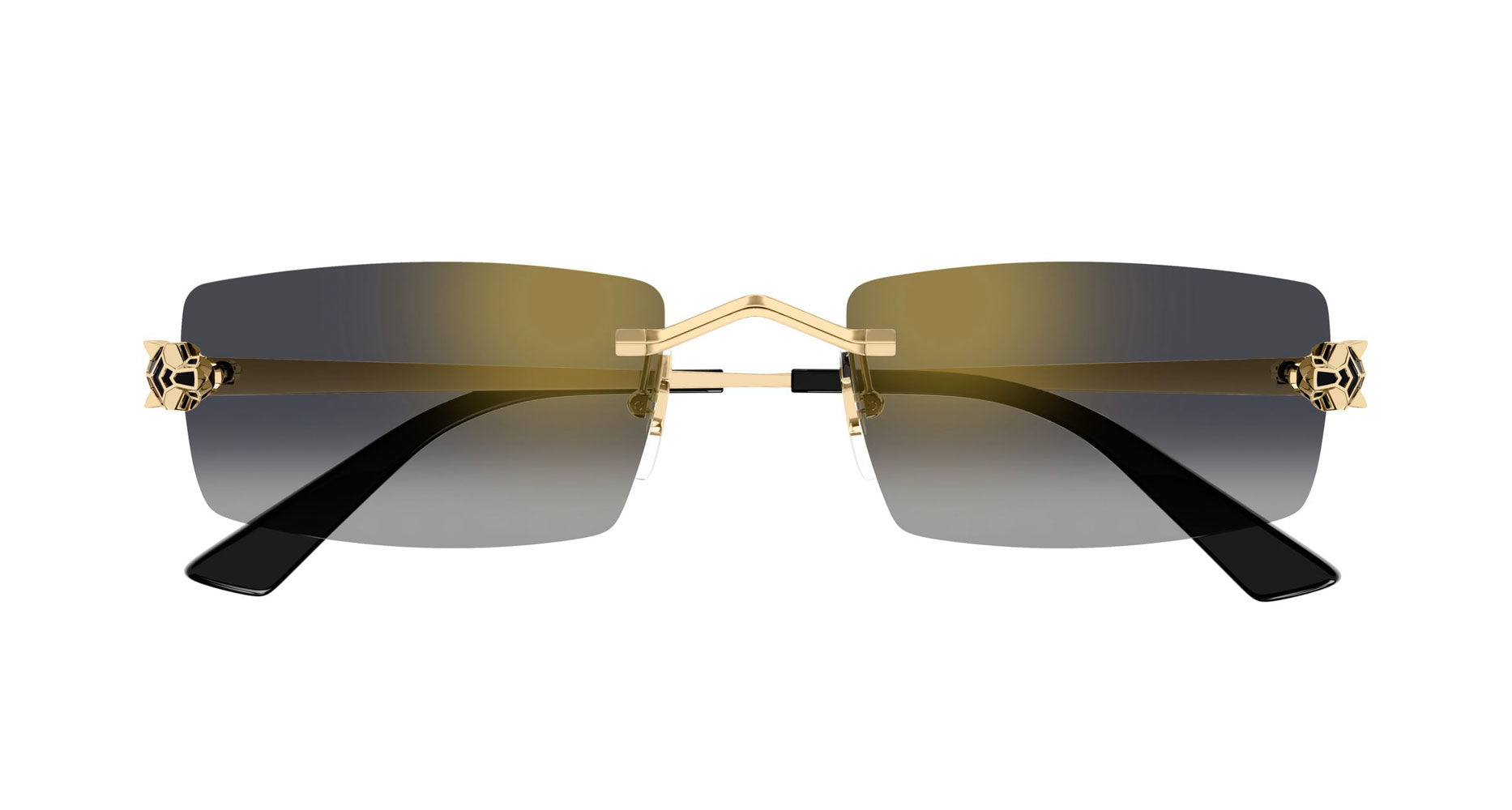 Cartier CT0598S