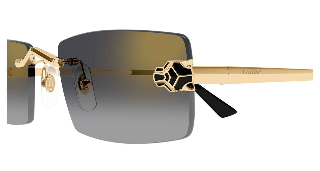 Cartier CT0598S