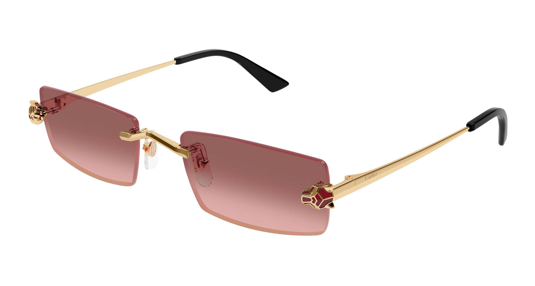 Cartier CT0598S