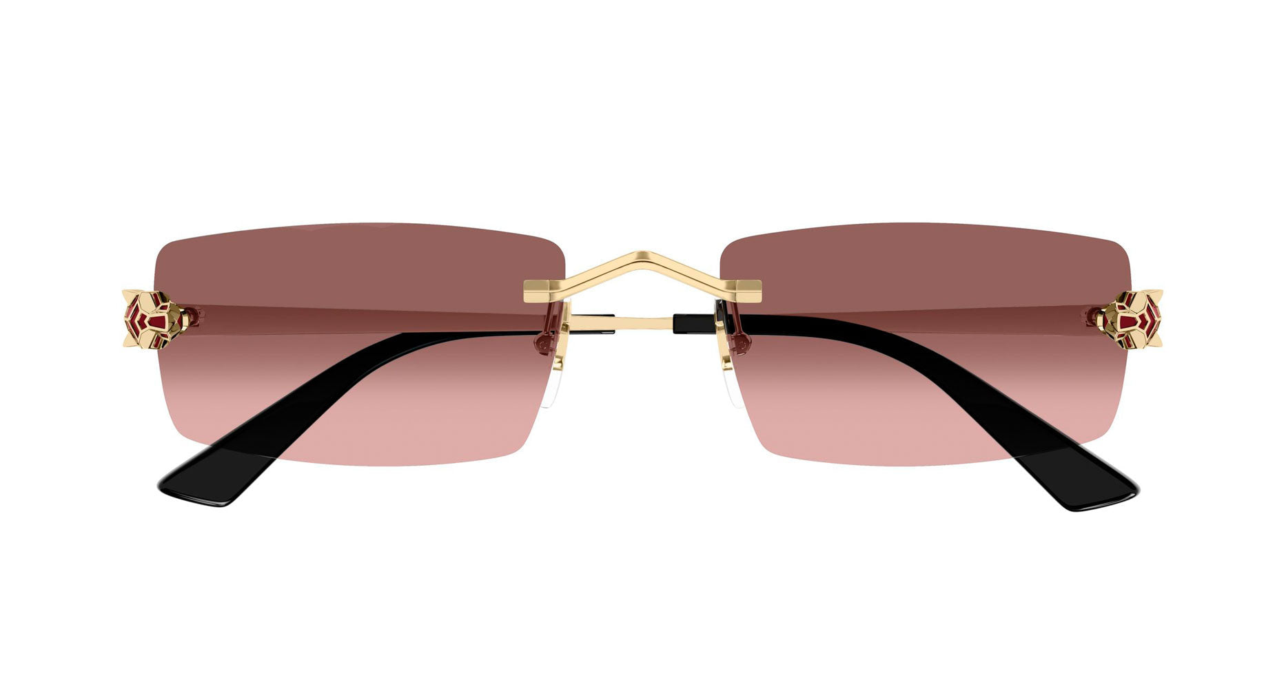 Cartier CT0598S