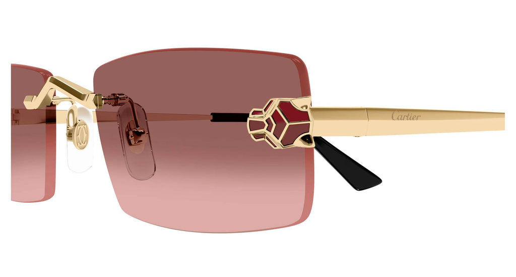Cartier CT0598S