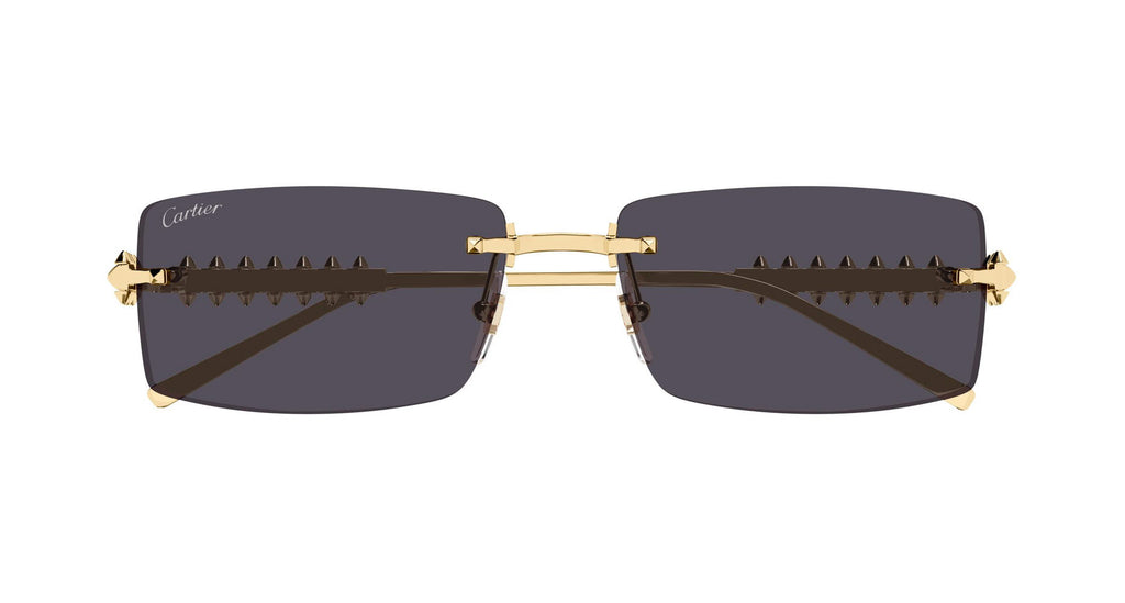 Cartier CT0604S