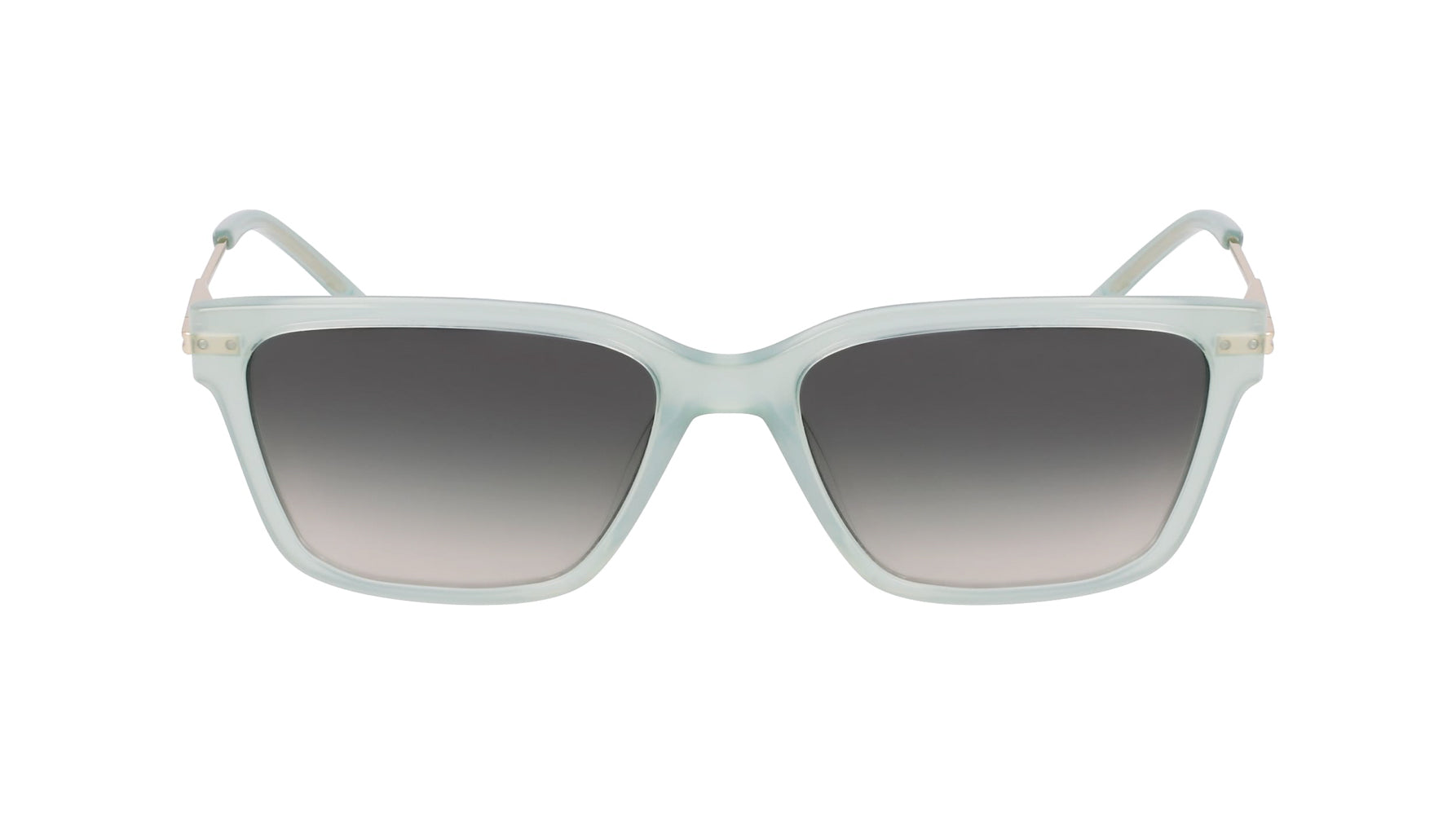 DKNY DK713S