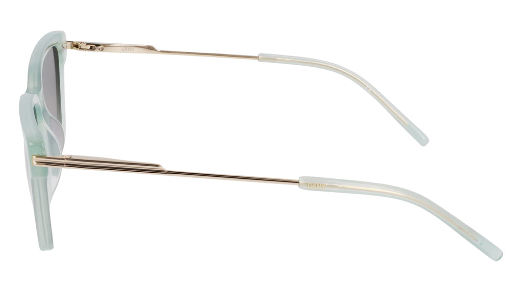 DKNY DK713S