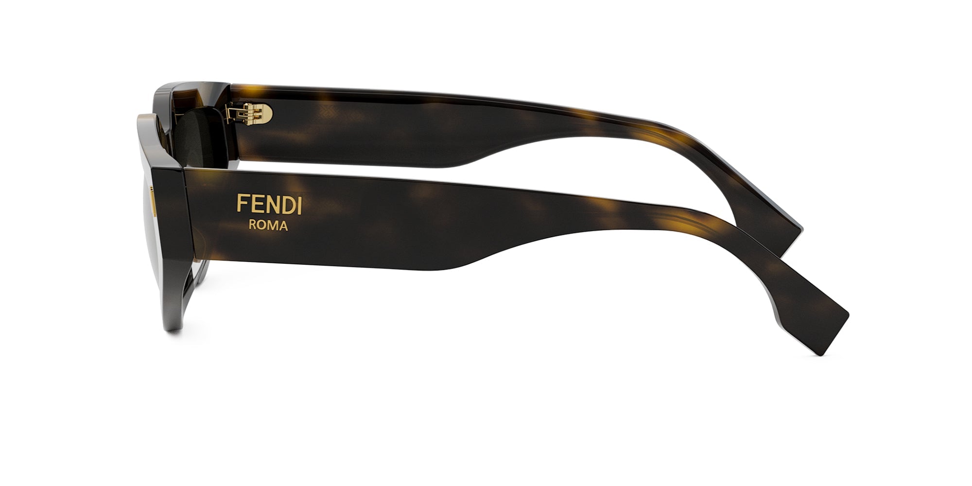 Fendi Roma FE40163U