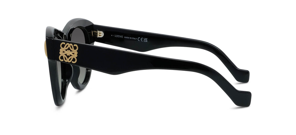 Loewe Anagram LW40174I
