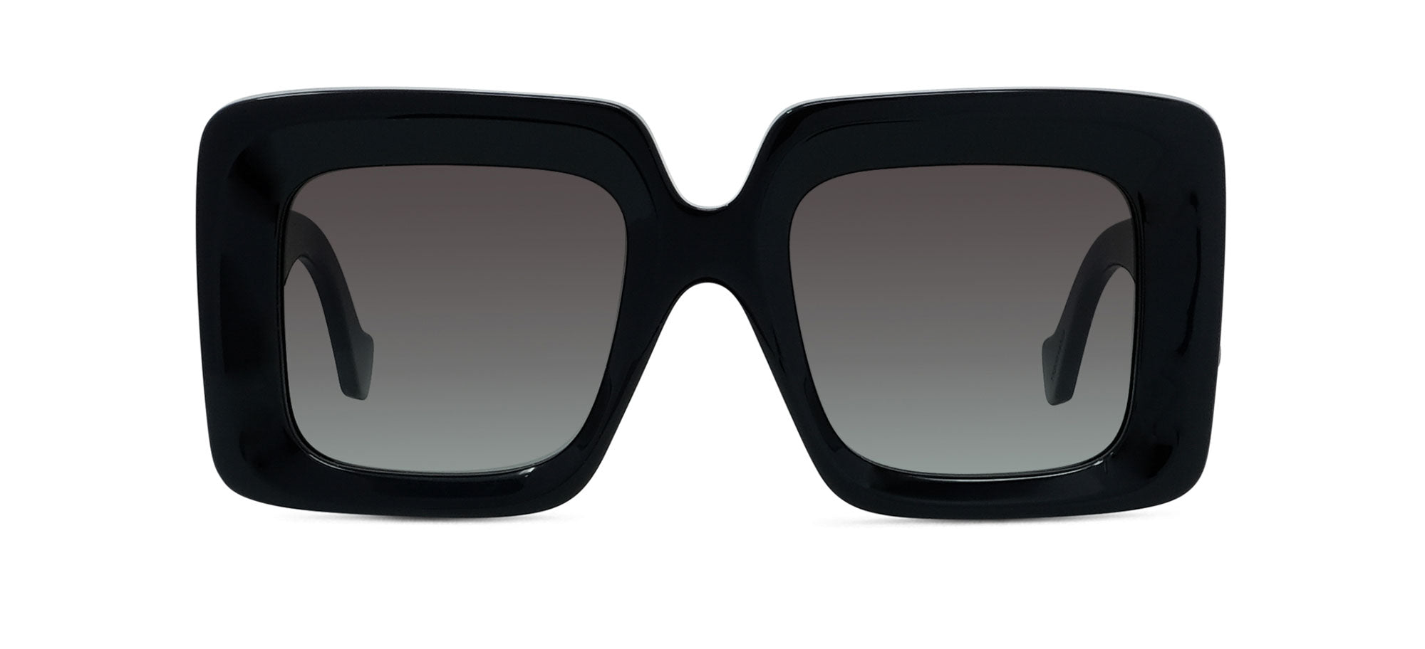 Loewe Anagram LW40176U