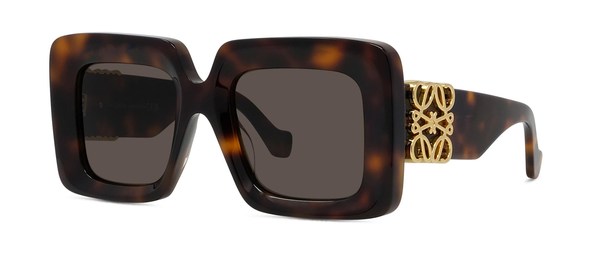 Loewe Anagram LW40176U