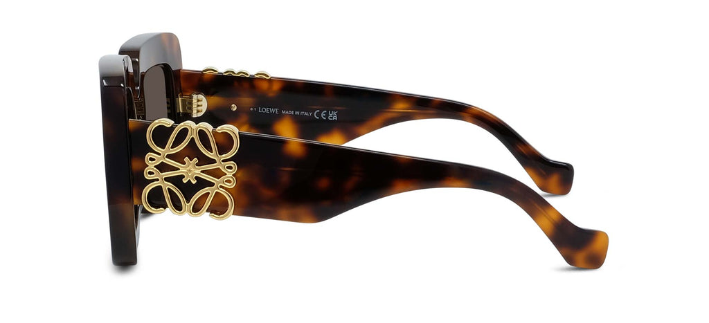 Loewe Anagram LW40176U