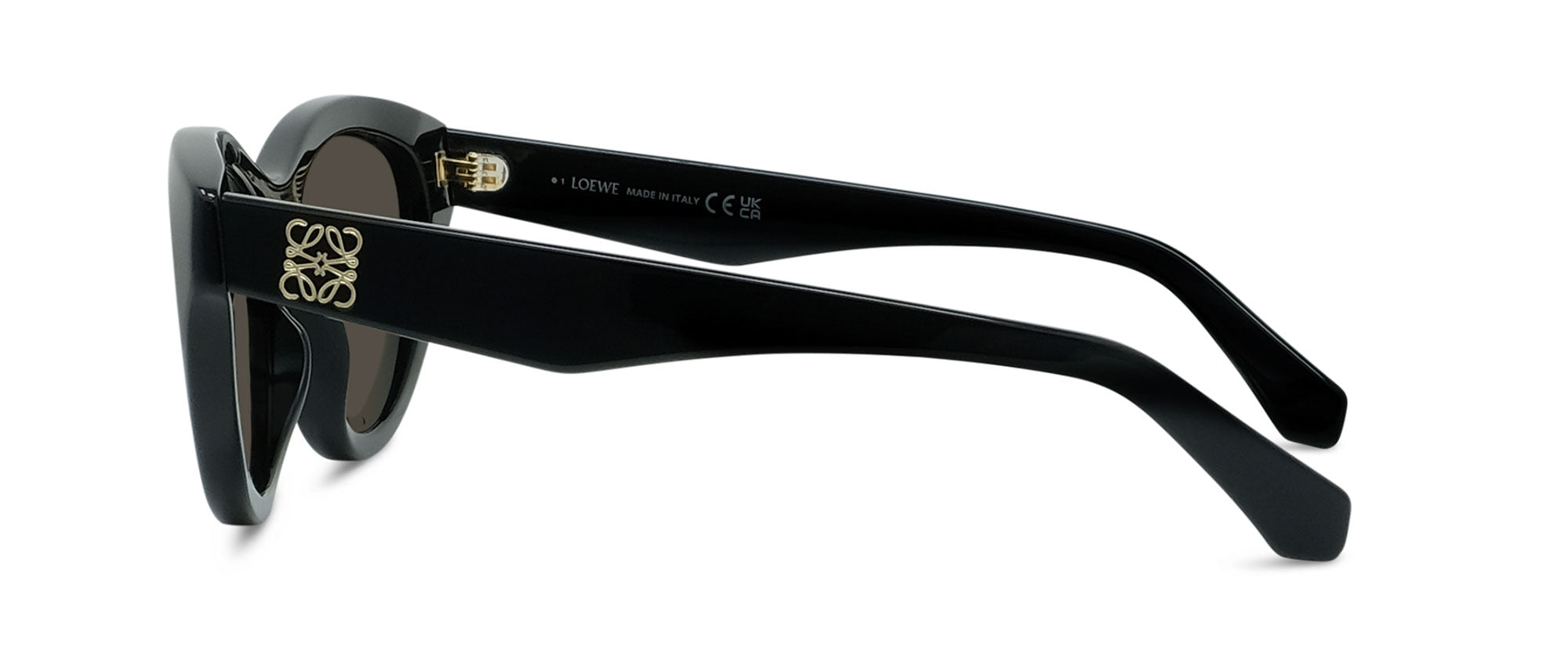 Loewe Anagram LW40182U