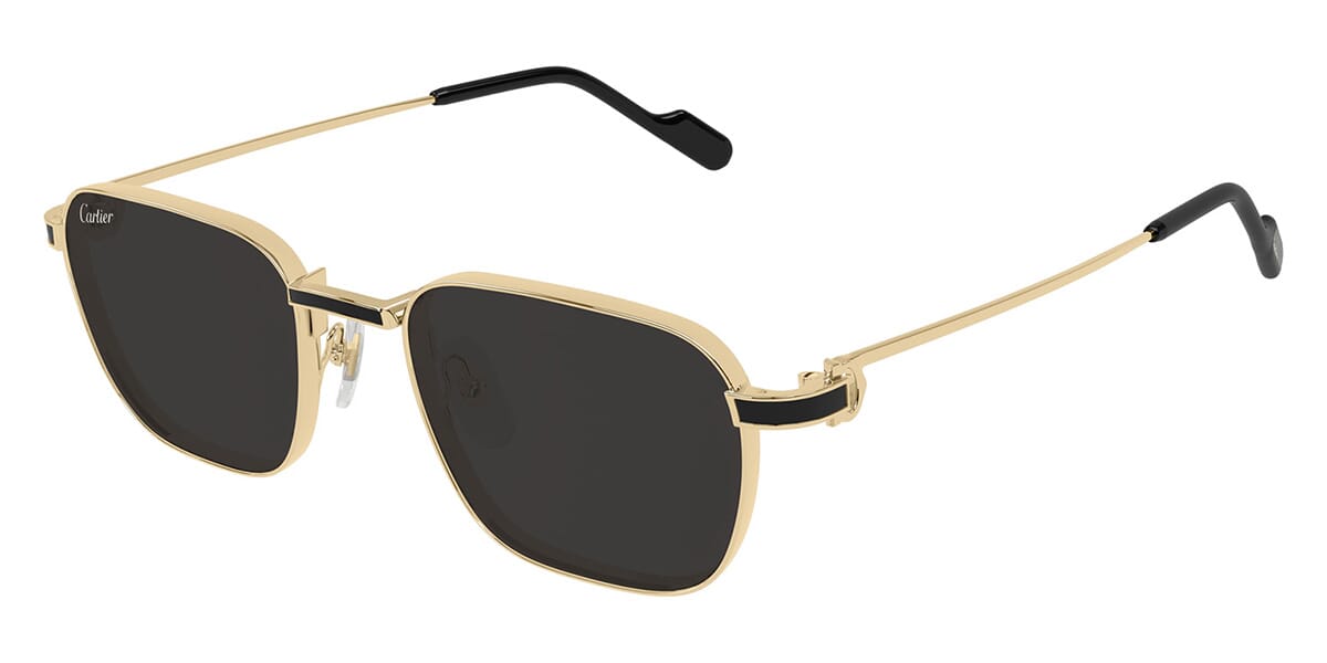 Cartier CT0497S