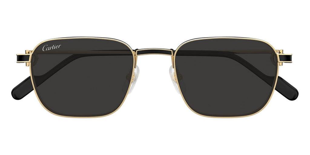 Cartier CT0497S