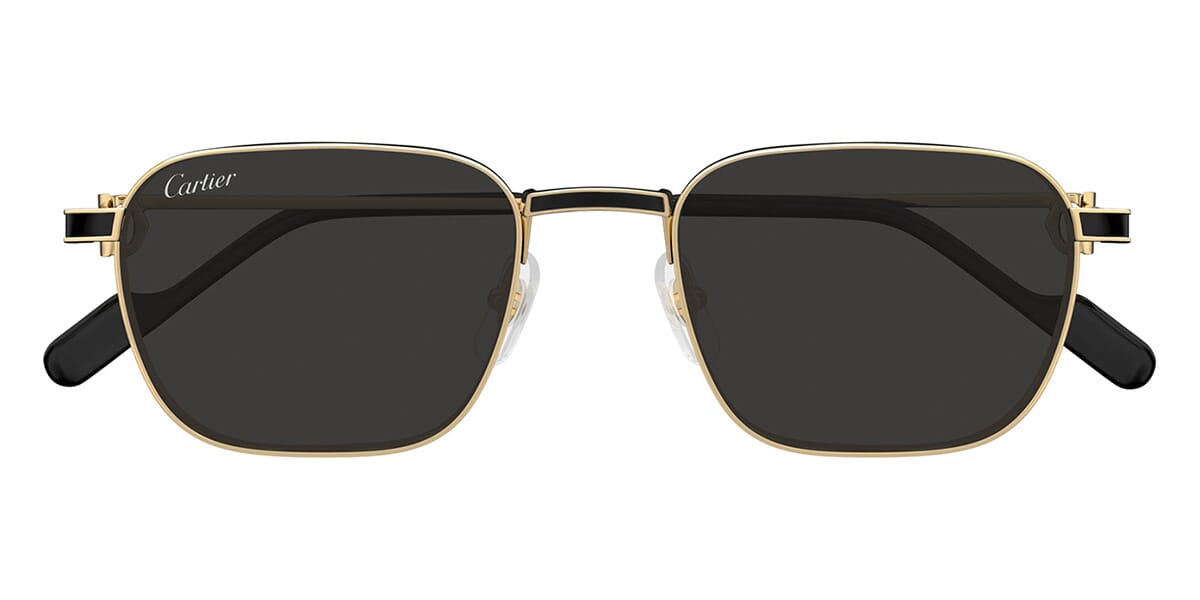 Cartier CT0497S