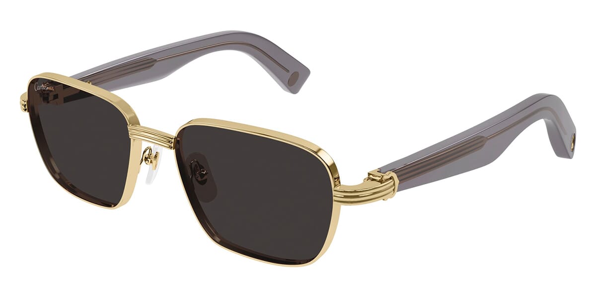 Cartier CT0538S